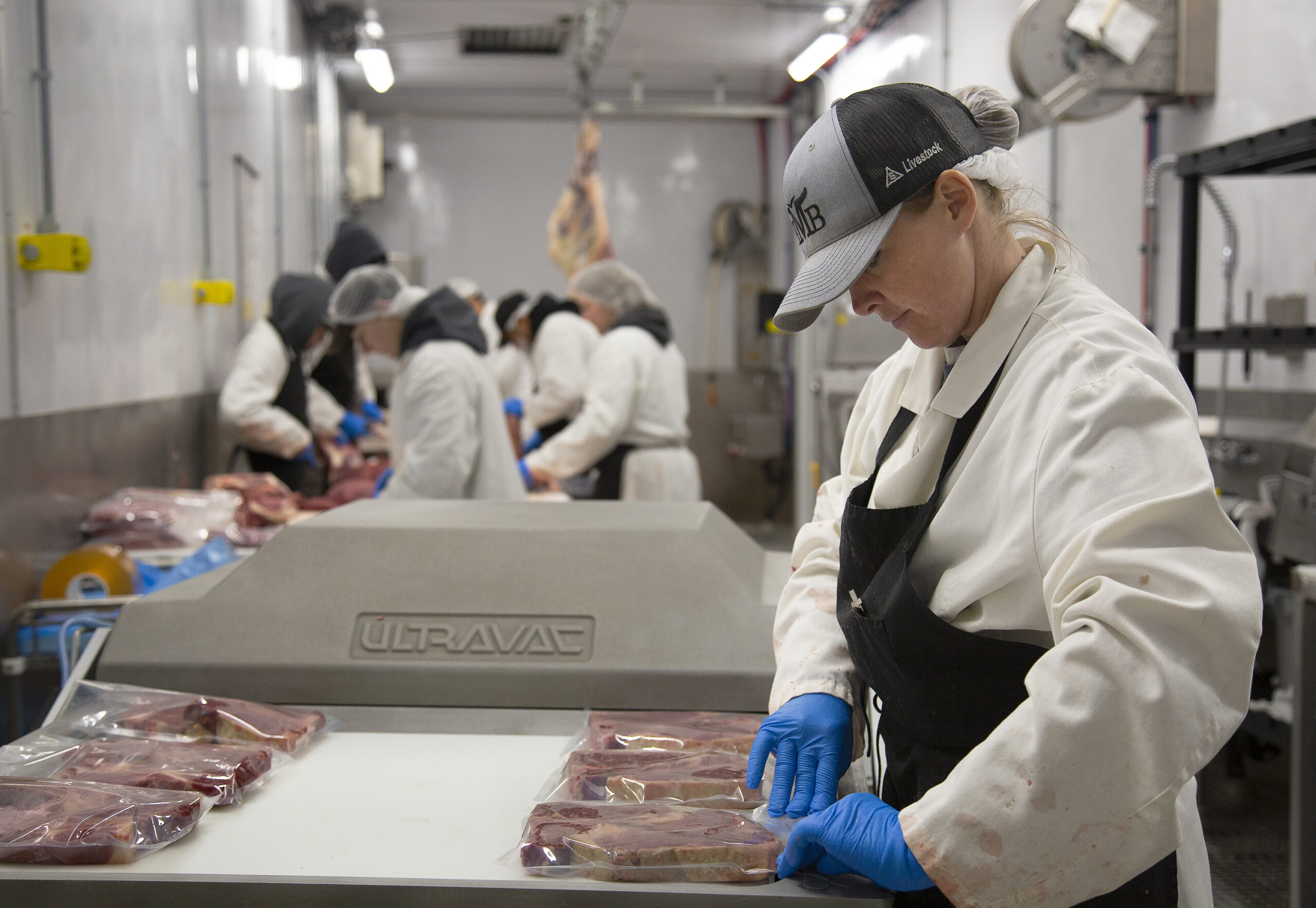 Beef Factory